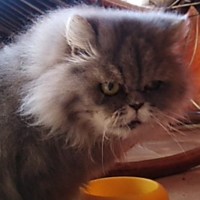 Thumbnail for the listing's main image