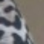 Profilová fotka Aliya