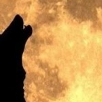 Profilová fotka mrtlvr4vr