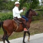 Profilová fotka figar