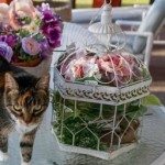 Profilová fotka hpcmedic